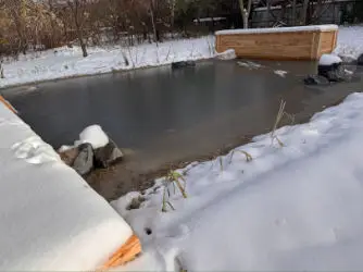 Přírodní jezírko v Olomouci